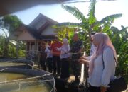 Danramil 1708/Sukahaji Dampingi Camat Sukahaji Tinjau Budidaya Ikan Nila Sistem Bioplok di Desa Manjeti