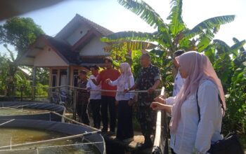 Danramil 1708/Sukahaji Dampingi Camat Sukahaji Tinjau Budidaya Ikan Nila Sistem Bioplok di Desa Manjeti