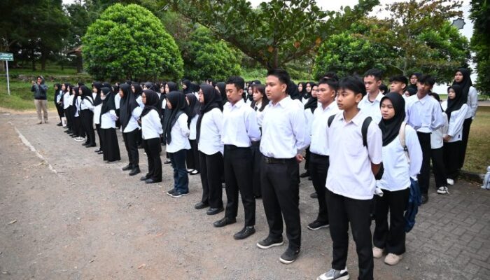 7847 Tenaga Kerja Tersalurkan Berkat Job Fair Talenta Job