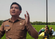 Ribuan Ular Dilepas Lucky Hakim di Sawah Indramayu