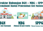 Struktur Hubungan BGN – MBG – SPPG: Memahami Rantai Pemenuhan Gizi Nasional