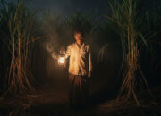 Ketika Ritual Menjadi Maut: Sejarah Tragis Dukun dari Medan