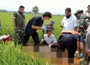Mayat Pria Tanpa Identitas Ditemukan di Tengah Sawah Desa Balida Majalengka