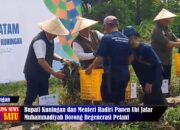 Bupati Kuningan dan Mendikdasmen Hadiri Panen Ubi Regenerasi Petani Jadi Sorotan