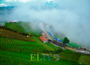 Pesona Negeri di Atas Awan, Terasering Panyaweuyan Majalengka Diselimuti Kabut Tebal