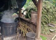 Kolang Kaling Girimulya Tak Pernah Sepi, Stok Tetap Ada Meski Bukan Musim