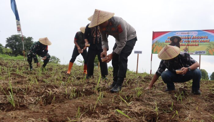 Polres Kuningan Dan Diskatan Tanam Jagung Serentak di 27 Lokasi Capai 22 Ha
