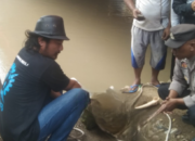 Warga Digegerkan Penemuan Mayat Wanita di Sungai Karangsambung