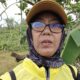 Pengakuan Paranormal di Lokasi Hilangnya Parmo Bikin Geger! “Masih di Sekitar Sini, Terlihat Tapi Tak Utuh”
