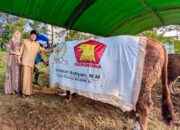 Idul Adha: Ketika Keikhlasan, Pengorbanan, dan Kepedulian Menjadi Jalan Keselamatan Bangsa