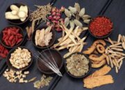 Beragam Manfaat Tanaman Obat untuk Penyakit