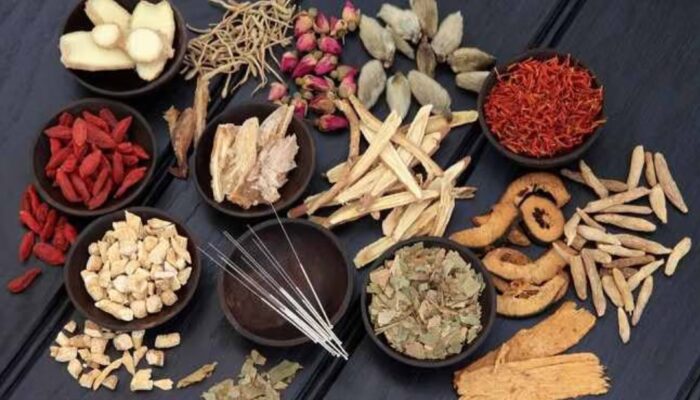 Beragam Manfaat Tanaman Obat untuk Penyakit
