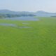 Pertumbuhan Eceng Gondok di Waduk Darma Dinilai Cerminan Lemahnya Antisipasi Risiko Lingkungan