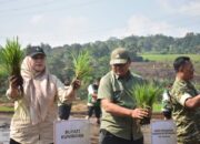 Tanam Harapan, Panen Masa Depan: Gerakan Tanam Serempak di Kuningan Kobarkan Semangat Swasembada Pangan