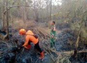 Babinsa Wanajaya Berjibaku Jinakkan Api, Kebakaran Lahan 2 Hektare di Kasokandel Berhasil Dipadamkan