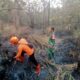 Babinsa Wanajaya Berjibaku Jinakkan Api, Kebakaran Lahan 2 Hektare di Kasokandel Berhasil Dipadamkan