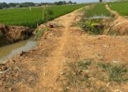 Perjuangan Petani Kunci Utama Ketahanan Pangan Nasional