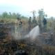 Kebakaran Lahan PT Mayora di Bandorasa Wetan Berhasil Dipadamkan, Respons Cepat Damkar Cegah Api Meluas