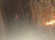 Diduga Dipicu Puntung Rokok, Kebakaran Hutan Bambu Seluas 1 Hektare di Majalengka Berhasil Dipadamkan
