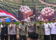 Perkuat Kemandirian Pangan: Majalengka Bangun Demplot Bawang Putih di Dua Lokasi