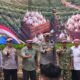 Perkuat Kemandirian Pangan: Majalengka Bangun Demplot Bawang Putih di Dua Lokasi