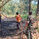 Kebun Bambu di Majalengka Terbakar, 0,4 Hektare Lahan Hangus