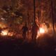 Kebakaran Lahan Rumpun Bambu di Palasah, Babinsa dan Warga Bergerak Padamkan Api