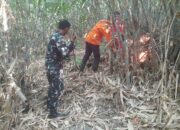 Kebun Bambu 4 Hektare di Sukahaji Majalengka Terbakar, Babinsa Bantu Pemadaman