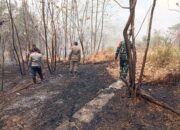 Lahan Warga di Kasokandel Terbakar, Babinsa Bersama Damkar Bergerak Padamkan Api