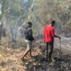Nekat Bakar Sampah Pas Kemarau Ekstrem, Lahan Rumpun Bambu di Lojikobong Ludes Terbakar!