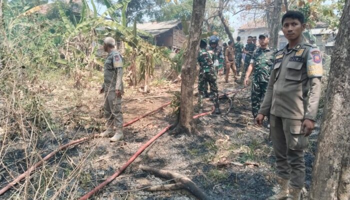 Lima Hektare Lahan di Kertajati Majalengka Membara, Petugas Gabungan dan Warga Baku Hantam Padamkan Api!