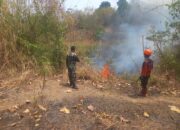 Asap Membumbung Tinggi di Pasir Asih Majalengka, Kebakaran Lahan 700 Meter Buat Warga Panik!