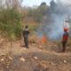 Asap Membumbung Tinggi di Pasir Asih Majalengka, Kebakaran Lahan 700 Meter Buat Warga Panik!