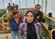 Arunika Olah Sampah Jadi Maggot, Bangun Ekosistem Pertanian Terintegrasi di Kuningan